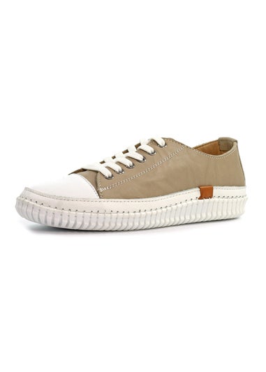 Lunar Stone Truffle II Plimsoll