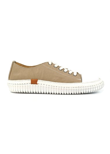 Lunar Stone Truffle II Plimsoll