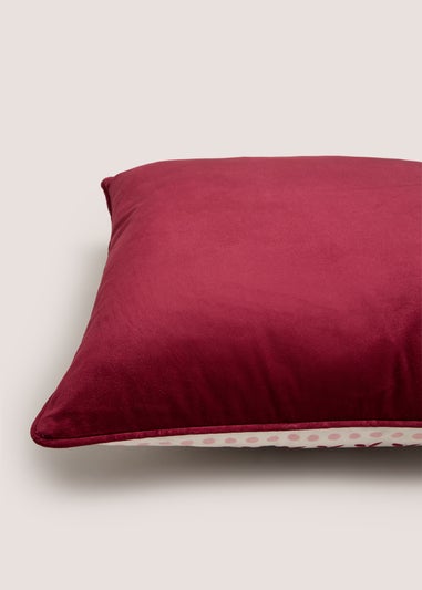 Red Robin Cushion
