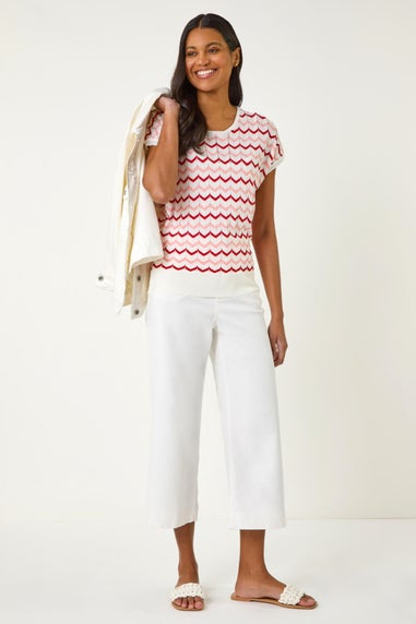 Roman Pink Textured Chevron Contrast Top