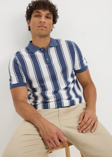 Blue Stripe Knitted Polo Shirt
