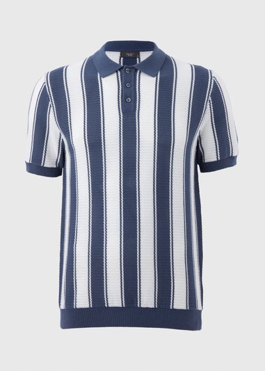 Blue Stripe Knitted Polo Shirt