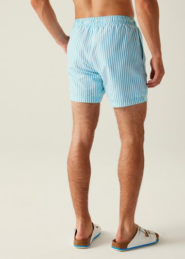 Regatta Aquarius Blue Stripe Loras Swim Shorts