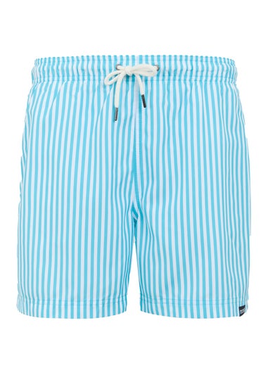 Regatta Aquarius Blue Stripe Loras Swim Shorts