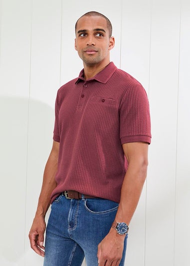Cotton Traders Ruby Seersucker Polo Shirt