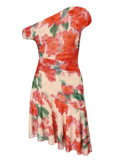 Quiz Red Mesh Floral Mini Dress