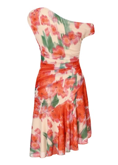 Quiz Red Mesh Floral Mini Dress