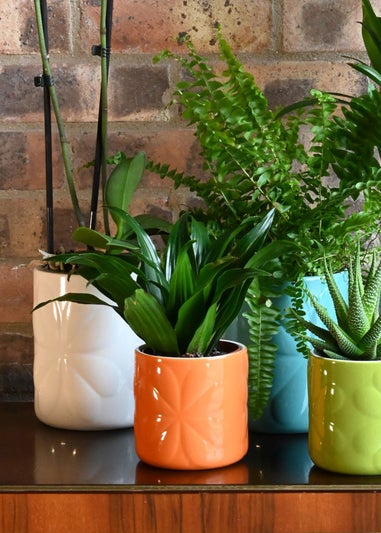 Beau & Elliot Orange Carnaby Porcelain Embossed Pot Small