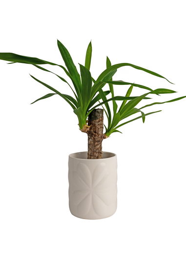 Beau & Elliot Ivory Carnaby Porcelain Embossed Pot Large