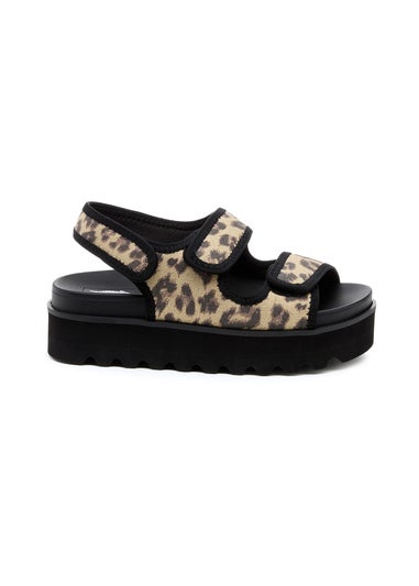 Rocket Dog Multicoloured Balmy Dexter Sandal