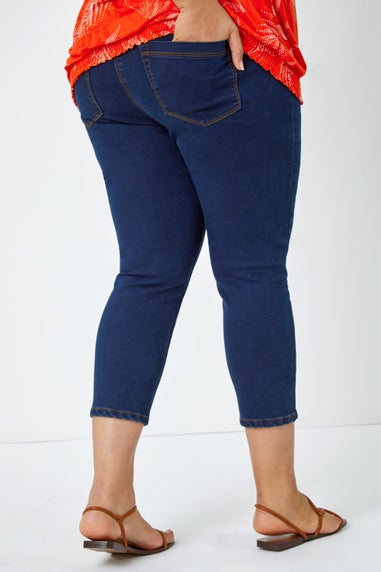 Roman Indigo Curve Elastic Waist Cropped Denim Jeggings