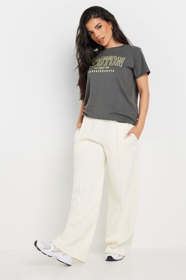 Pixiegirl Grey Boston Slogan T-Shirt