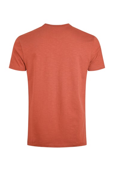 Weird Fish Baked Clay Fished Branded T-Shirt