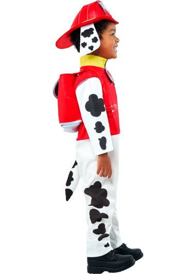 Marshall Toddler (2-4 Years)