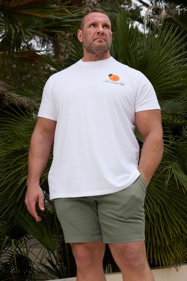 Badrhino Sage Green Stretch Chino Shorts