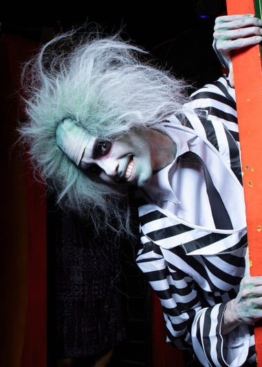 Beetlejuice Wig