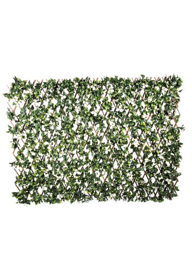 Premier Decorations White Gardenia Artificial Willow Trellis (130cm x 270cm)
