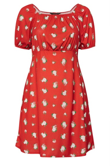 LIMITED COLLECTION Curve Red Floral Mini Dress