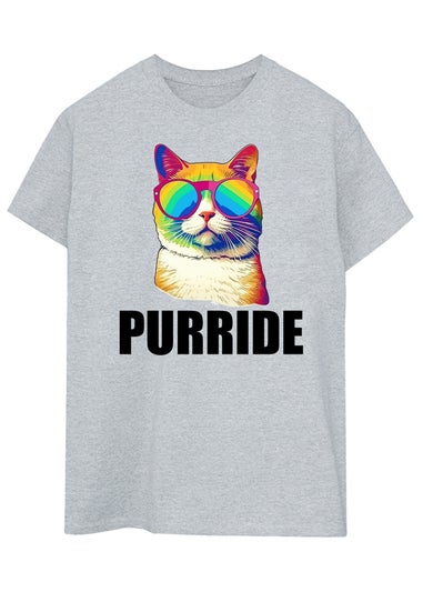 Brands In Cat Pride Purride Grey Boyfriend Fit Graphic T-Shirt