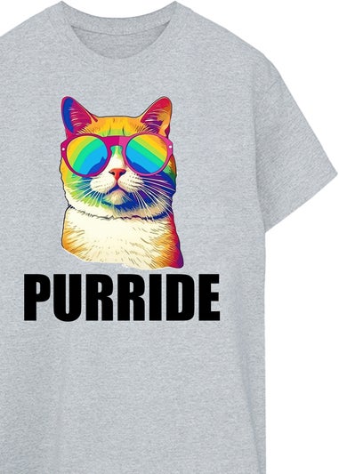 Brands In Cat Pride Purride Grey Boyfriend Fit Graphic T-Shirt