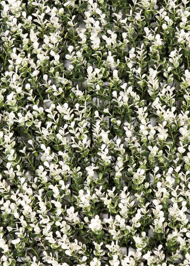 Premier Decorations Green Artificial Living Wall White Buxus (50cm x 50cm)