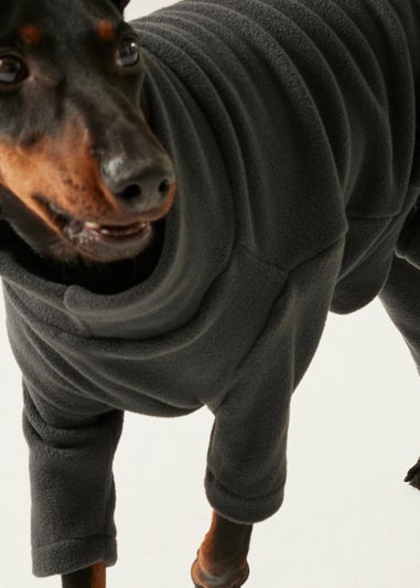 Regatta Slate Pet's Dog Mud Suit