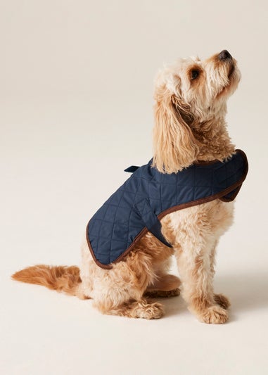 Regatta Ink Pet's Odie Waterproof Dog Coat