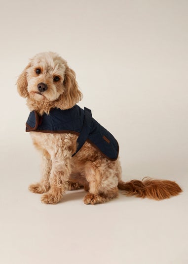 Regatta Ink Pet's Odie Waterproof Dog Coat