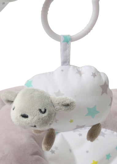 East Coast Grey Counting Sheep Bouncer