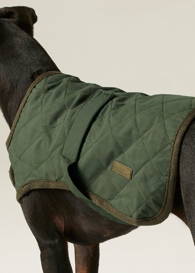 Regatta Khaki Pet's Odie Waterproof Dog Coat
