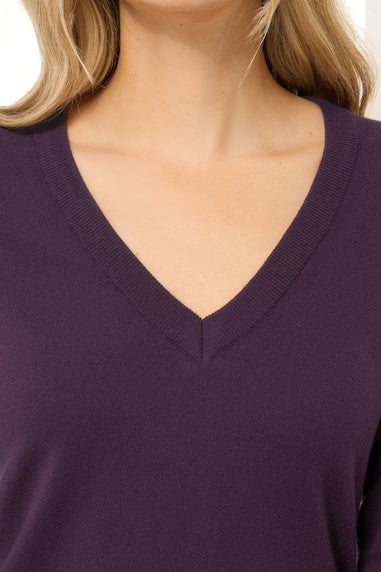Long Tall Sally Dark Purple Knit V-Neck Jumper