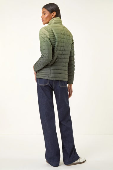 Roman Khaki Ombre Funnel Padded Coat