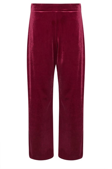 PixieGirl Petite Burgundy Red Velour Wide Leg Trousers
