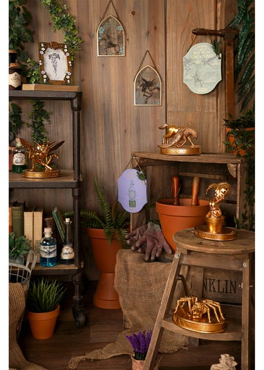 Harry Potter Warner Bros Herbology Gold Arch Plaque Cornish Pixie