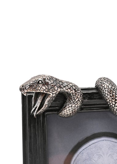 Harry Potter Warner Bros Dark Arts Black Frame Nagini