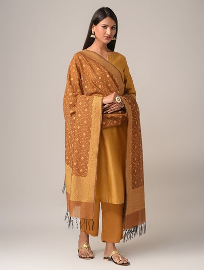 Women Beige Brown Cotton Berasi Dupatta