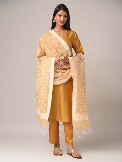 Women Beige Brown Cotton Berasi Dupatta