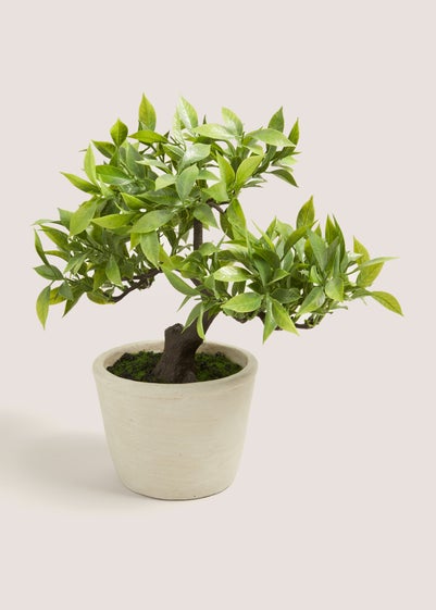 Bonsai Tree in White Pot (33cm x 21cm x 27cm)