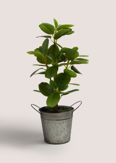 Leafy Plant in Silver Pot (18cm x 18cm x 42cm) Reviews - Matalan