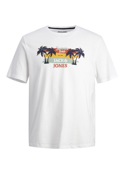 Jack & Jones Boys White Summer Vibes Crew Neck T-Shirt (6-16yrs)