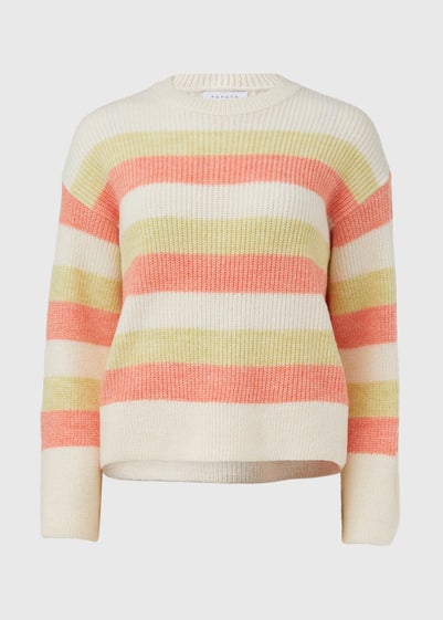 Papaya Petite Multicolour Stripe Knit Jumper