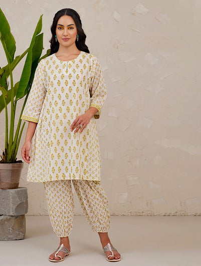 Women Multicolour Cotton Block Print Round Neck Straight Fit Kurta