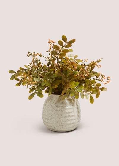 Autumn Plant In Ceramic Pot