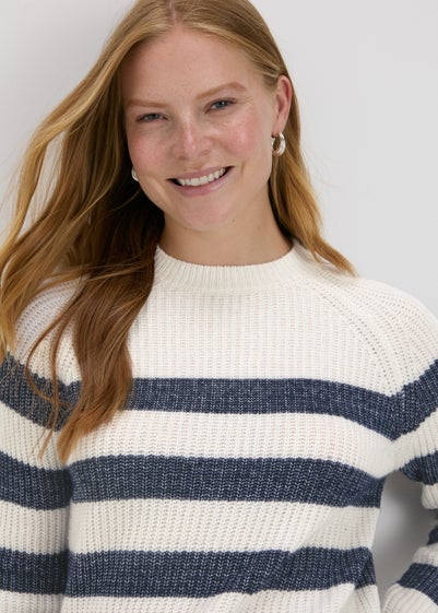 Navy Stripe Knitted Jumper