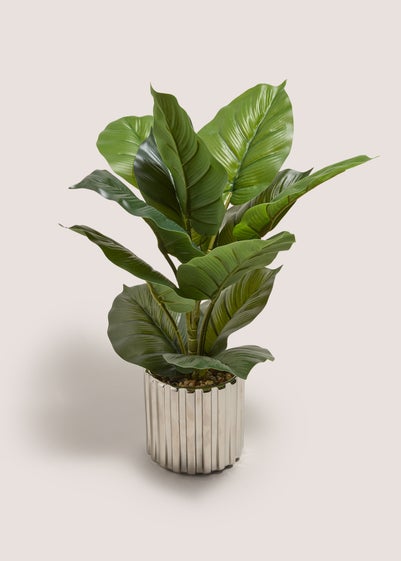 Silver Ribbed Pot With Leafy Plant