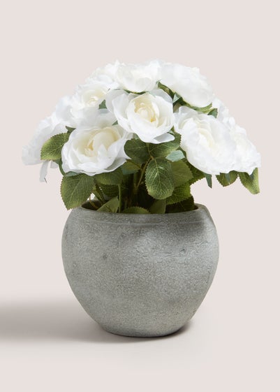 White Roses In Cement Pot