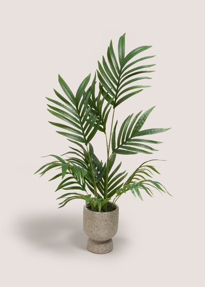 Palm Plant in Stone Pot