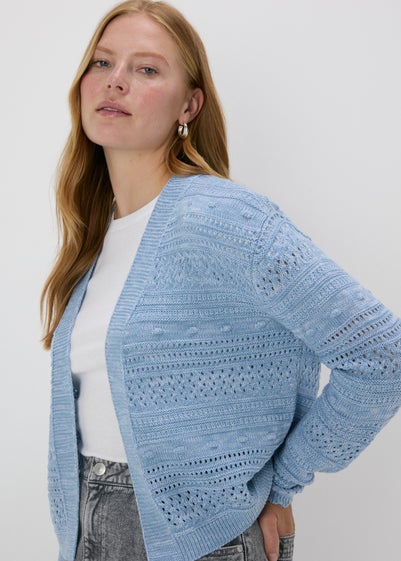 Blue Cardigan