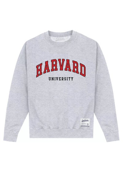 University of Harvard Grey Script Sweatshirt