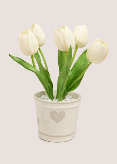 Cream Tulips In A Heart Vase